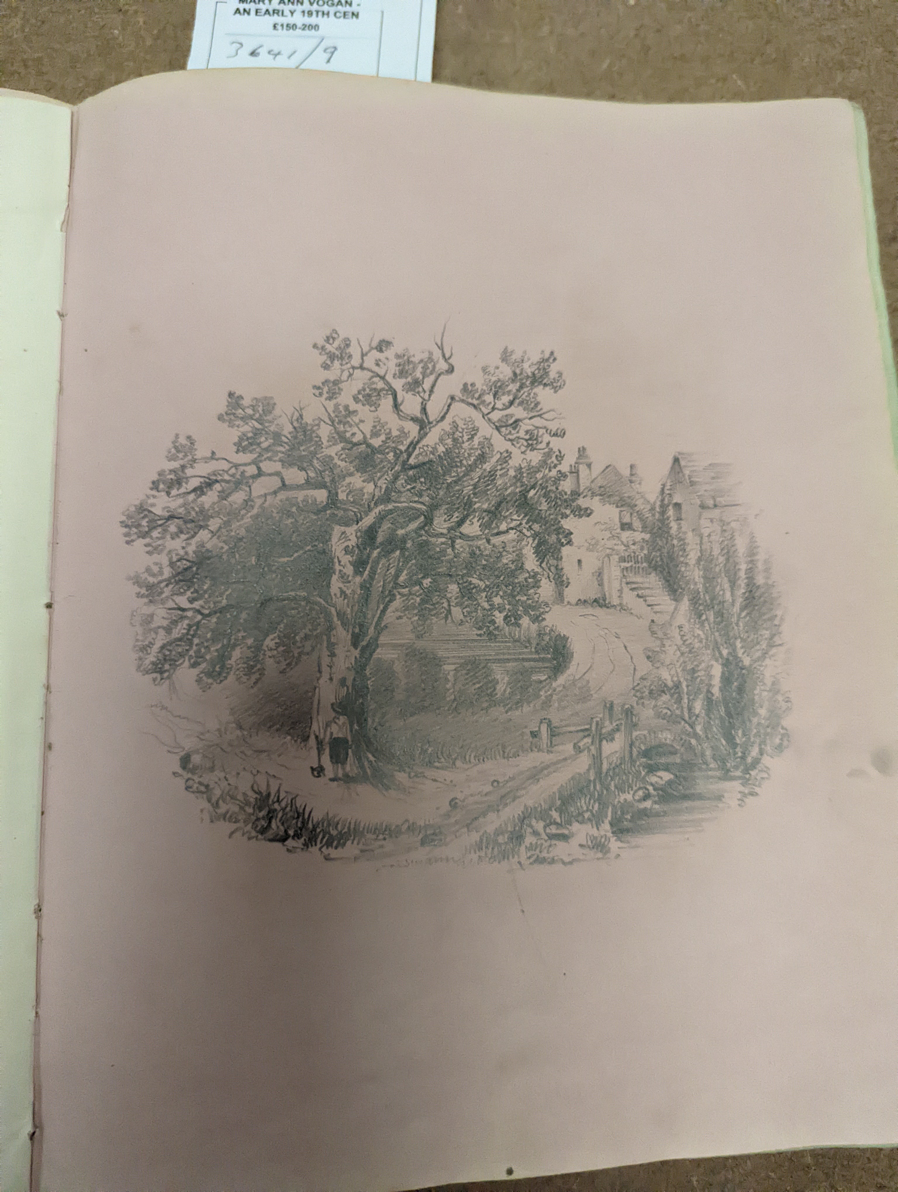 Mary Ann Vogan - an early 19th century album of 60 watercolours, pencil and ink drawings and engravings, including portraits, botanical specimens, land and seascapes, including 3 by R.C. Vogan, the front fly leaf inscrib